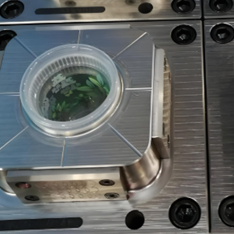 Disposable Food Grade PP Plastic Lunch Box With Lid Injection Mold Disposable Food Grade PP Plastic Lunch Box With Lid Injection Mold